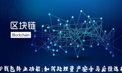 
TP钱包终止功能：如何处理资产安全与后续选择
