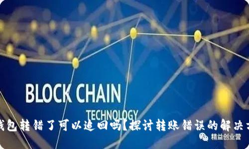 TP钱包转错了可以追回吗？探讨转账错误的解决方案