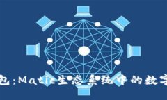 深入了解TP钱包：Matic生态