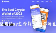 如何高效使用iPay支付钱包