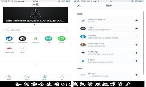 
如何安全使用Bit钱包管理数字资产