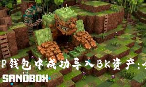 如何在TP钱包中成功导入BK资产：全面指南