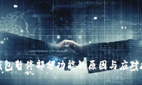 TP钱包暂停部分功能的原因与应对措施