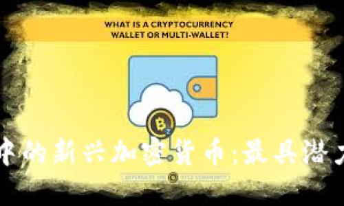 探索TP钱包中的新兴加密货币：最具潜力的新币推荐